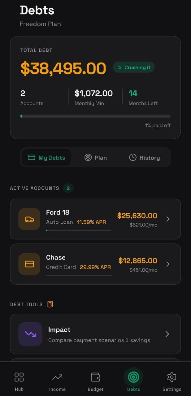 Debts overview with all accounts, APR, and payoff progress